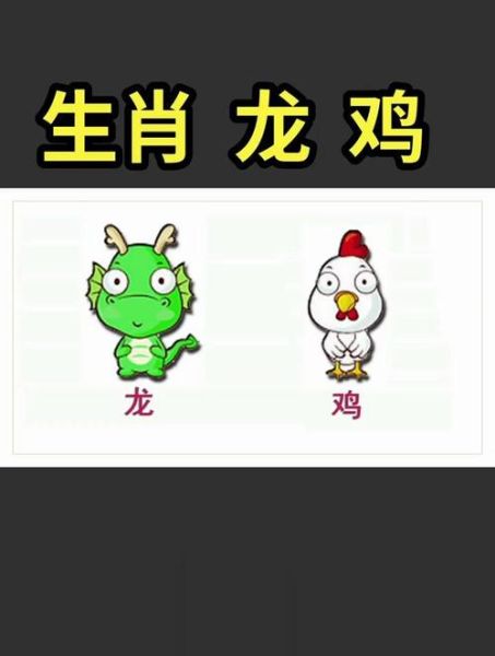 鸡龙生肖属相（鸡龙生肖属相到底合不合）