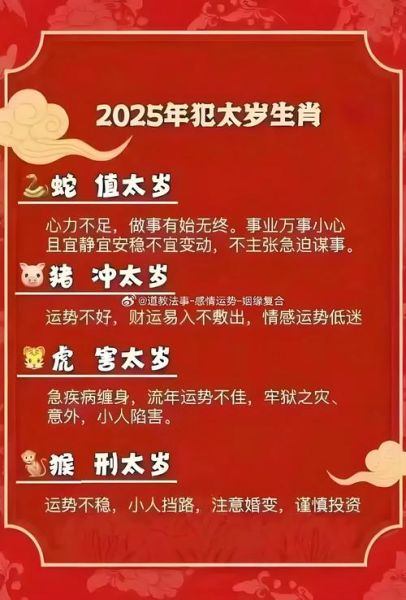 13岁属什么生肖属相（13岁属什么生肖今年）