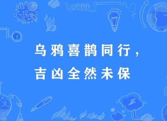 乌鸦生肖属相配对好吗（乌鸦生肖属相配对好吗？吉凶全解析）