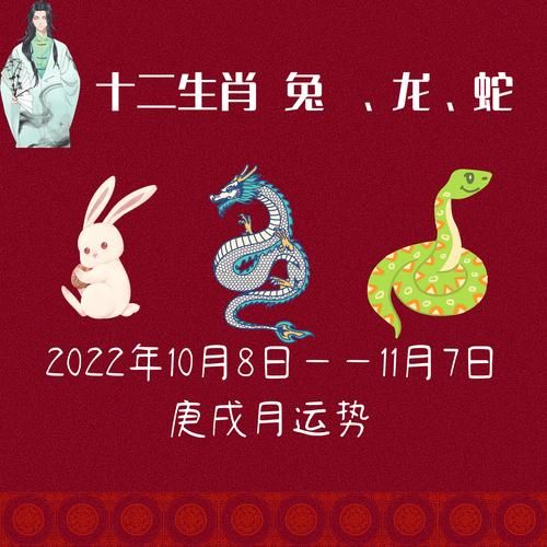 取消生肖属相（取消生肖属相的民间热议📢）