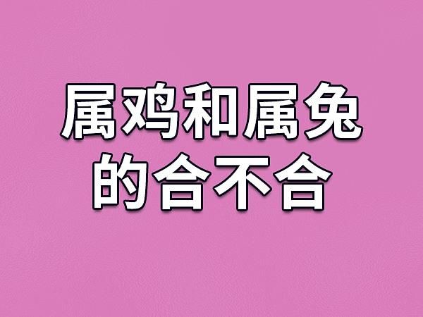 属相鸡不合的生肖（属鸡和什么属相不合）