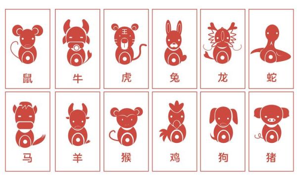 属相指什么生肖（属相是什么生肖？小白入门指南）