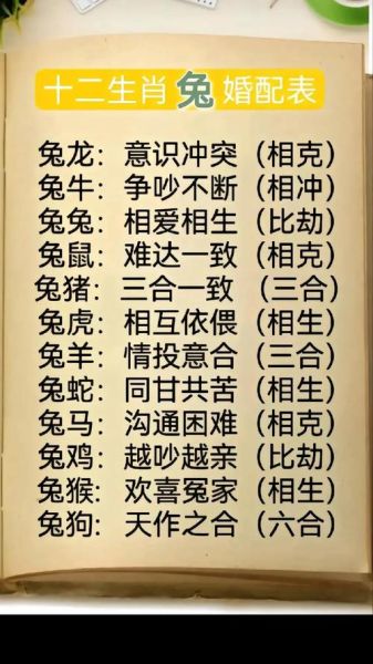 娃子属什么生肖属相（娃子属兔还是属龙？生肖速查指南）