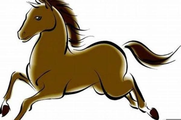 生肖马的后面是什么属相（生肖马后面是什么属相）