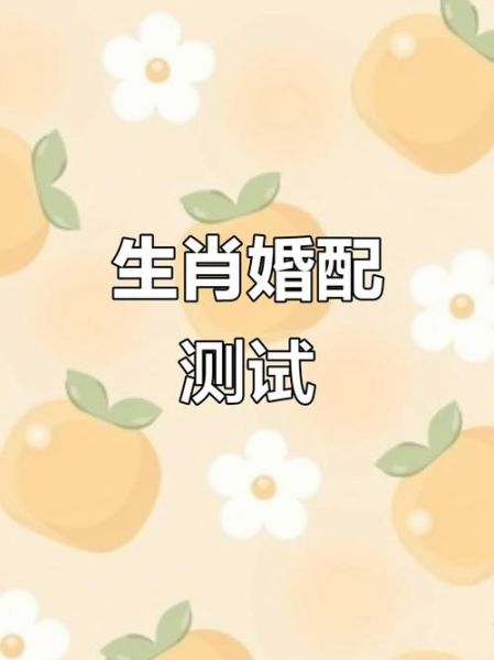 生肖龙最佳配对属相（属龙和什么属相最配）