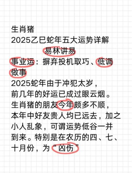 生肖猪整体属相（生肖猪整体运势2025全年详解）