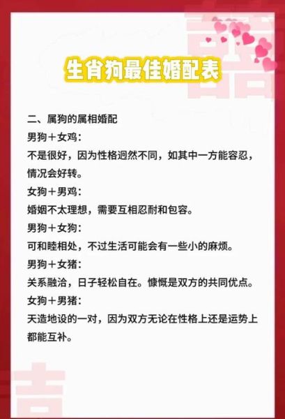 70年生肖狗的婚配属相（70年生肖狗的婚配属相吉凶全解析）