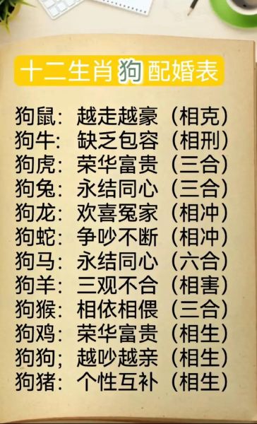 生肖狗克什么动物属相（生肖狗到底克谁？属相冲刑害一次看懂）