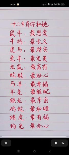 2002年什么生肖属相（2002年属马还是属羊？生肖速查指南）