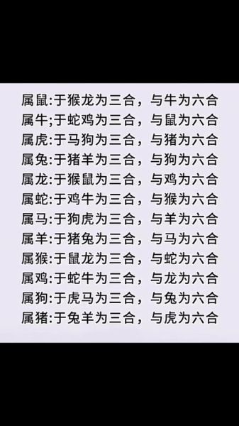 生肖狗四合属相（生肖狗六合三合贵人有哪些）