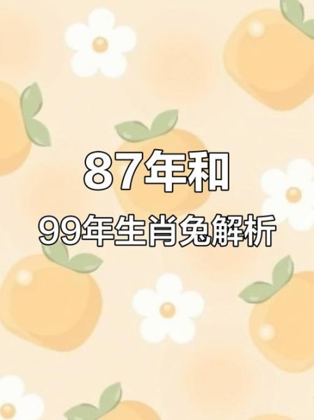 87属相什么生肖（87年属什么生肖）