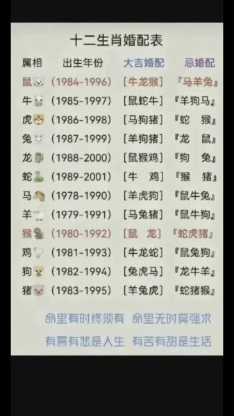 生肖兔 什么属相（生肖兔的最佳婚配属相大全）