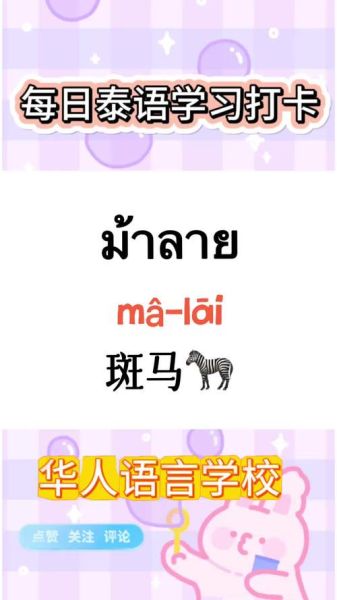 泰语生肖属相（泰语属相怎么说？零基础也能一次学会😆）