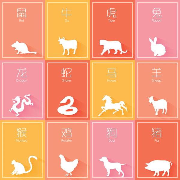 十二生肖属相冠王（十二生肖属相冠王分别是什么）