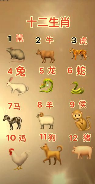 真的关于生肖和属相吗（生肖和属相真的有关系吗）