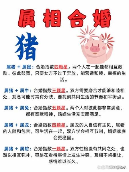 生肖猪与属相搭配（生肖猪与属相婚配最佳伴侣是谁）