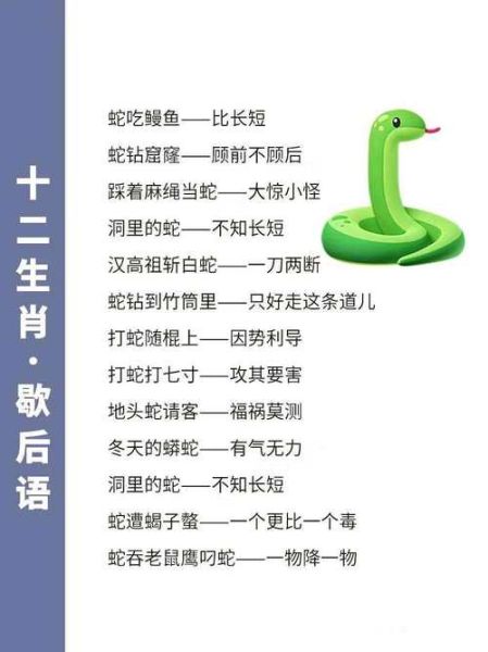 生肖属相谚语（属相谚语大全及寓意）