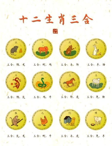 属相合的生肖图（属相合的生肖图怎么看？一张图学会）