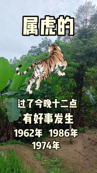 九八六属什么生肖属相呢（九八六年属什么生肖？🐯）
