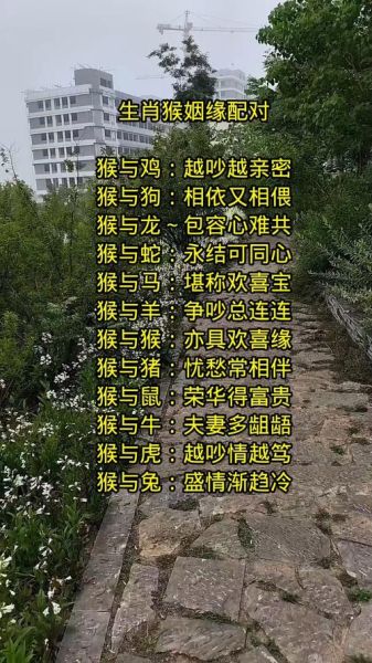 属猴生肖配偶属相（属猴的最佳婚配属相有哪些）