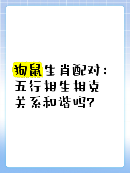 狗属相和什么生肖不好（狗属相和什么生肖相克）