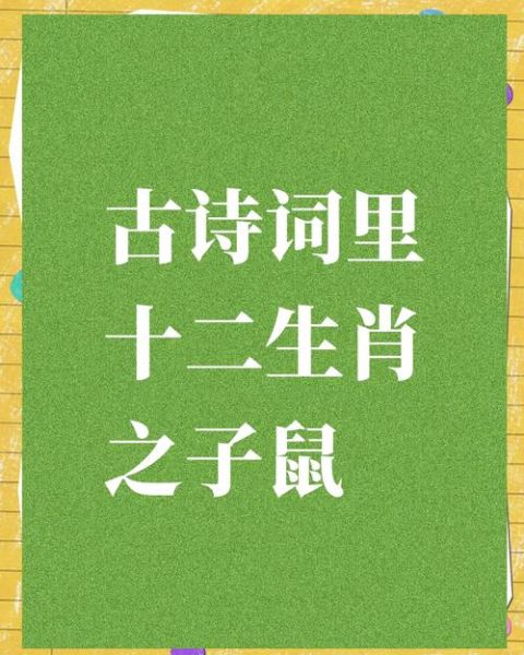 2016属相是什么生肖（2016年属什么生肖？🐭答案速查）