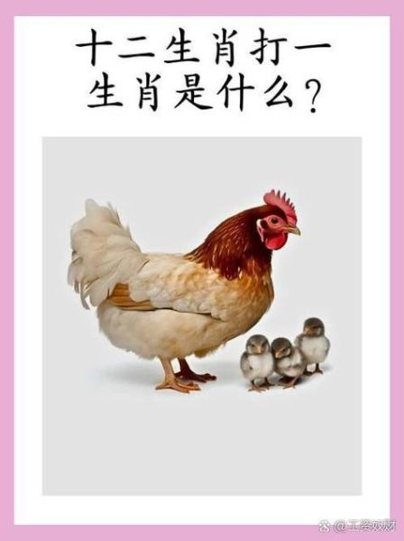 32岁属相什么生肖（32岁属什么生肖？一键查属相不迷路）