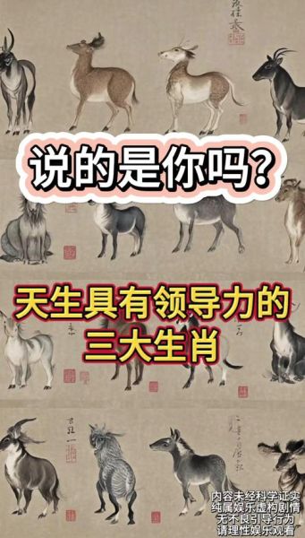 各界领导属相是什么生肖（领导生肖属相查询：哪些生肖最多？）