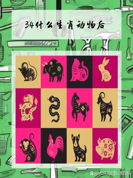 乌是什么生肖属相