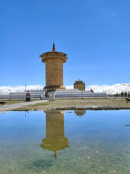 徐志摩属于什么生肖属相（徐志摩生肖属相是什么）