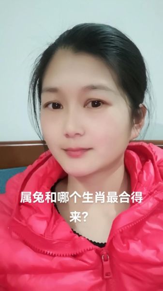 各生肖属相工作配对（属兔和什么生肖工作搭档最合拍？）