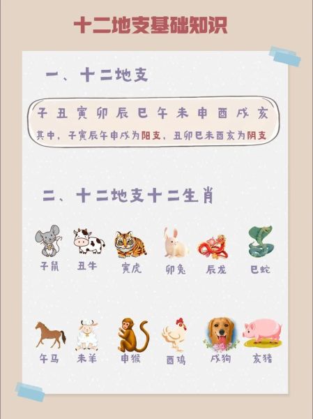 十二生肖中奖什么属相（十二生肖中奖几率最高的属相是什么）