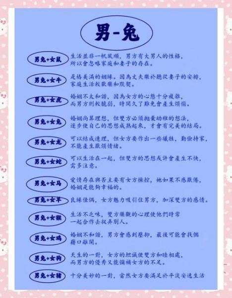 兔和生肖龙最配的属相（兔龙婚配最佳属相排行）