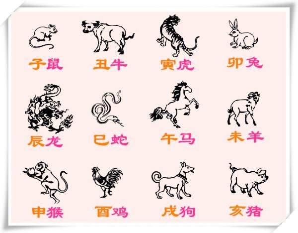 生肖14是什么属相（生肖14号对应什么属相？）