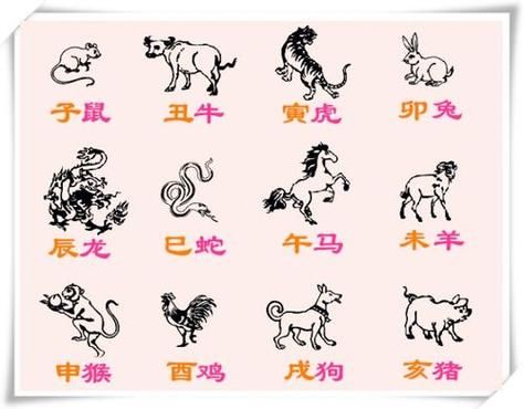 妞生肖属相是什么呢（妞是什么生肖）