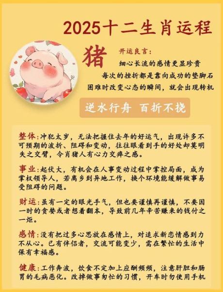 吃猪的生肖属相（属相吃猪肉的禁忌大全）