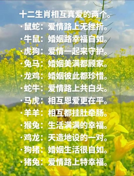 星座生肖都配对什么属相（属鼠与属牛为什么最合财运）