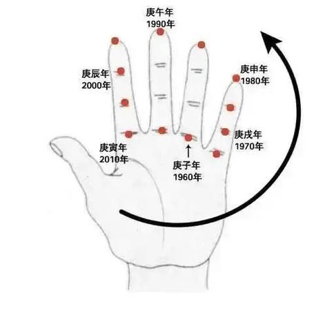 如何掐算生肖属相（如何一秒掐算生肖属相）