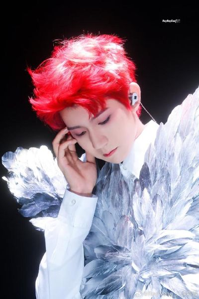 王源生肖属相（王源生肖属相是什么）