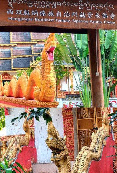 傣族的生肖属相（傣族为什么没有属龙？答案马上揭晓💡）