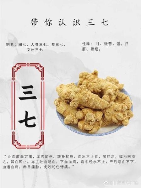 三七属什么生肖属相（三七属什么生肖最吉利）