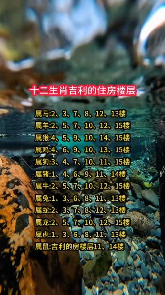 属相生肖与楼层（属相选楼层风水最吉利搭配表）