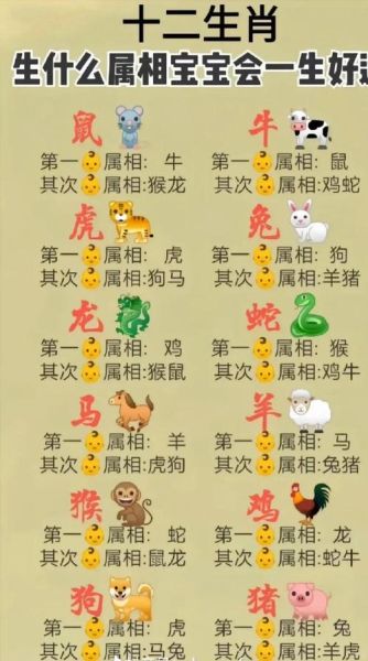 其他是什么生肖属相