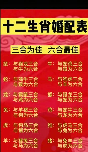 生肖属相配对神图（生肖属相婚配表图怎么看）