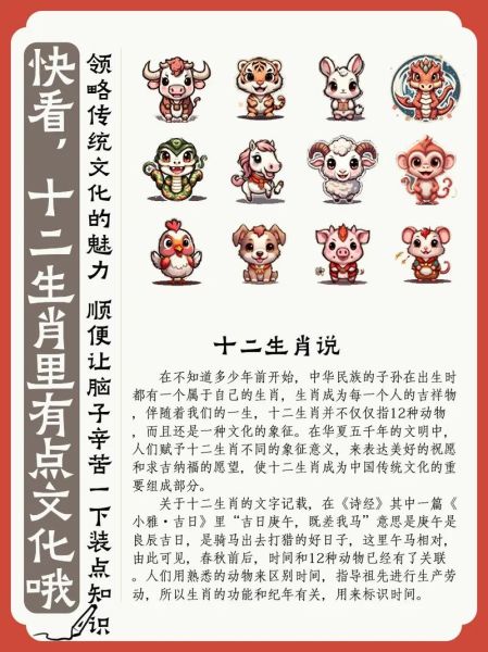 生肖属相说法由来（生肖属相的由来说法是什么）