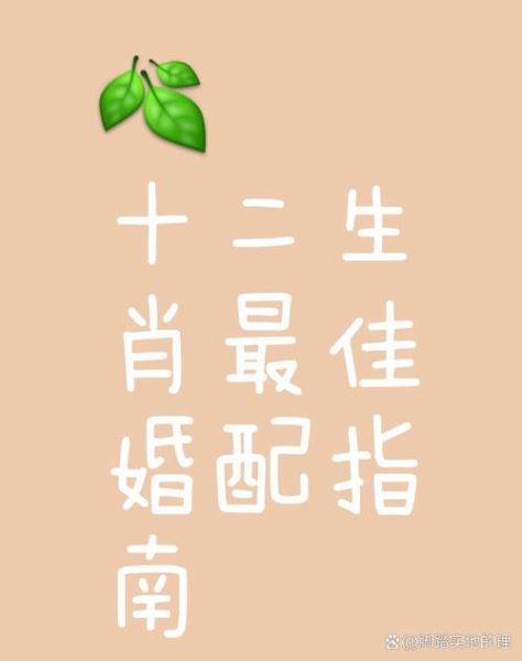 生肖属相鼠和哪个属相合（鼠和什么属相最合？最旺的是牛猴龙）