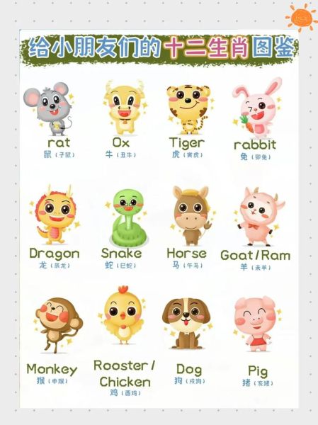 我的生肖属相怎么翻译（我的生肖属相英文怎么说）