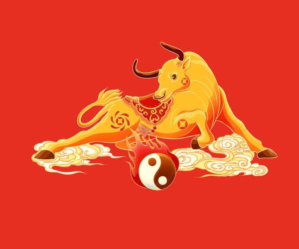 53岁什么生肖属相最好（53岁属什么生肖最好运？）