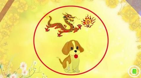 属相披靡的生肖是什么（属相披靡的生肖是生肖龙吗？）