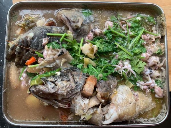 海兔王什么生肖属相最好（海兔王什么生肖属相最好属猴）